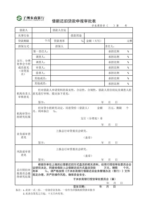 借新还旧贷款审批表