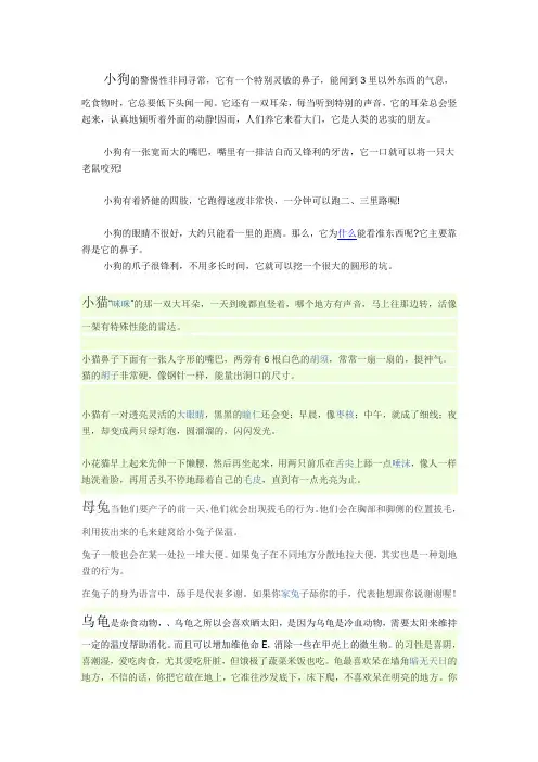 小动物的特点