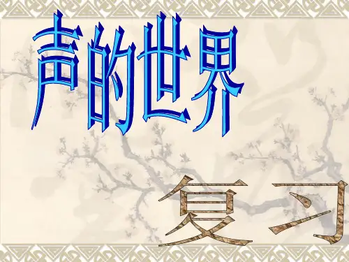 声的世界  复习课精品PPT课件