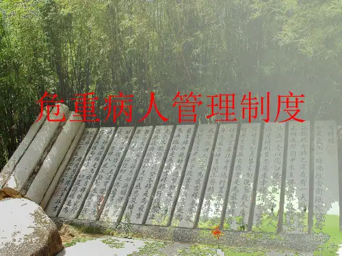危重病人管理制度.ppt