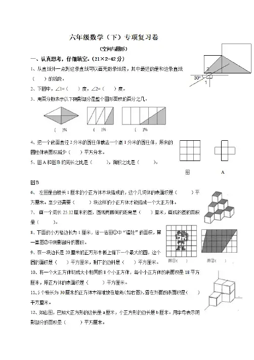 六年级数学(下)专项复习卷(空间与图形)
