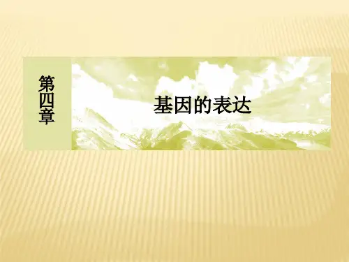 4-2第2节基因对性状的控制