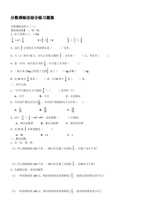 分数乘除法综合练习题集 2