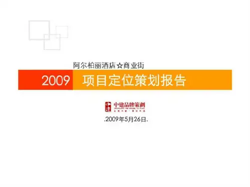 l尔柏丽酒店商业街项目定位策划报告