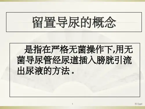 留置导尿管护理查房