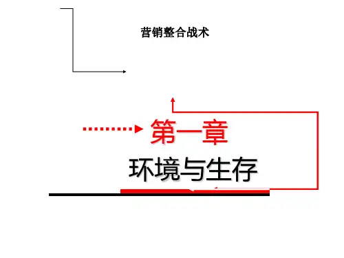 《营销整合战术》PPT课件