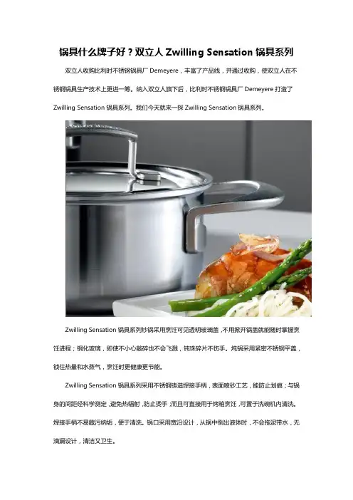 锅具什么牌子好？双立人Zwilling Sensation锅具系列