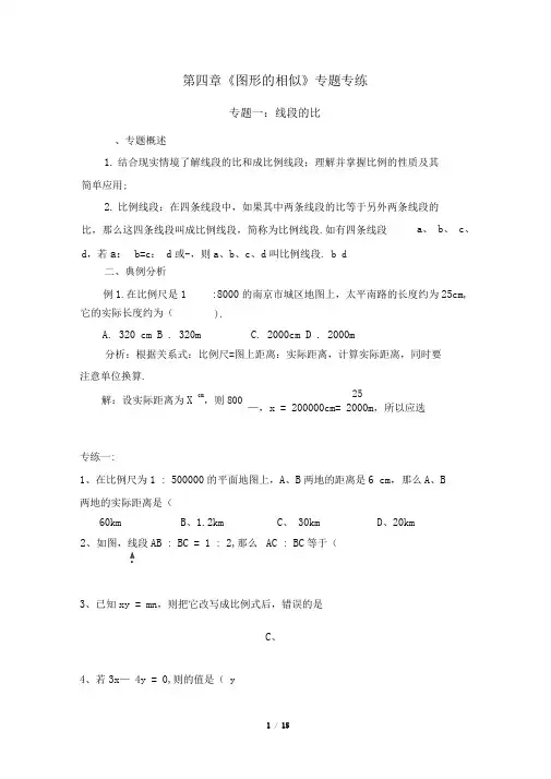 《图形的相似》专题专练