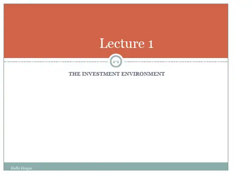 THEINVESTMENTENVIRONMENT投资环境.pptx