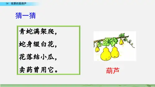 部编版我要的是葫芦课件ppt4