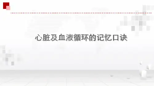 心脏及血液循环记忆口诀
