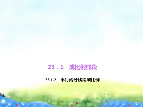 23.1.2 平行线分线段成比例 公开课课件