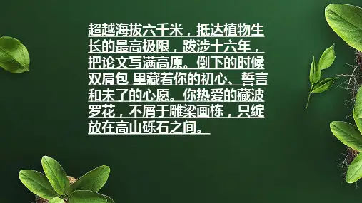 探界者 钟扬 课件—高中语文
