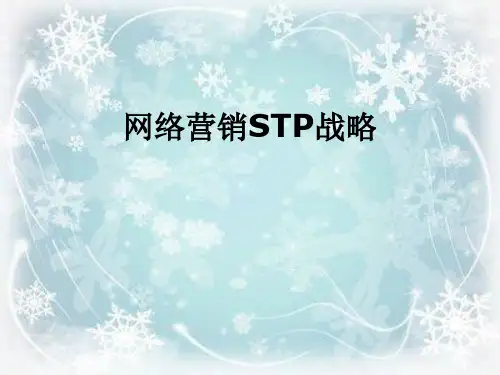 网络营销STP战略