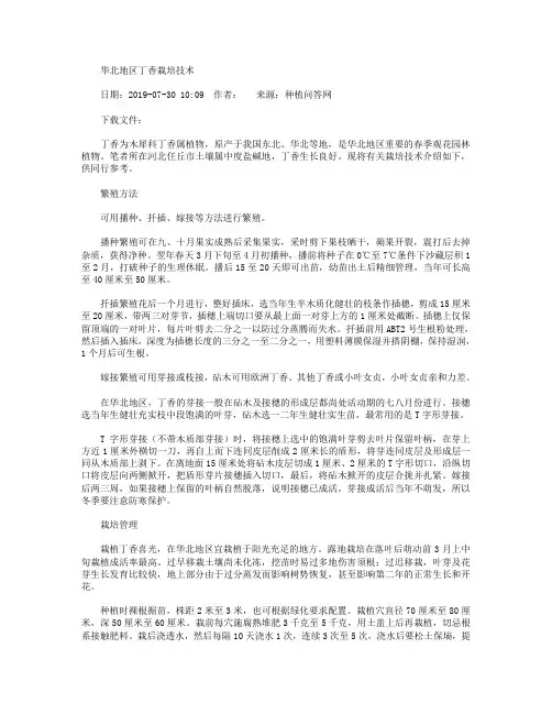 华北地区丁香栽培技术