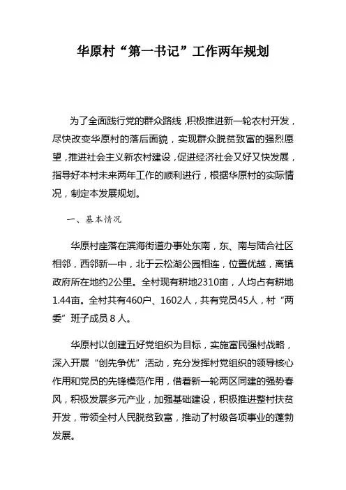 村第一书记任职规划计划