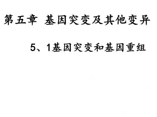 基因突变和基因重组