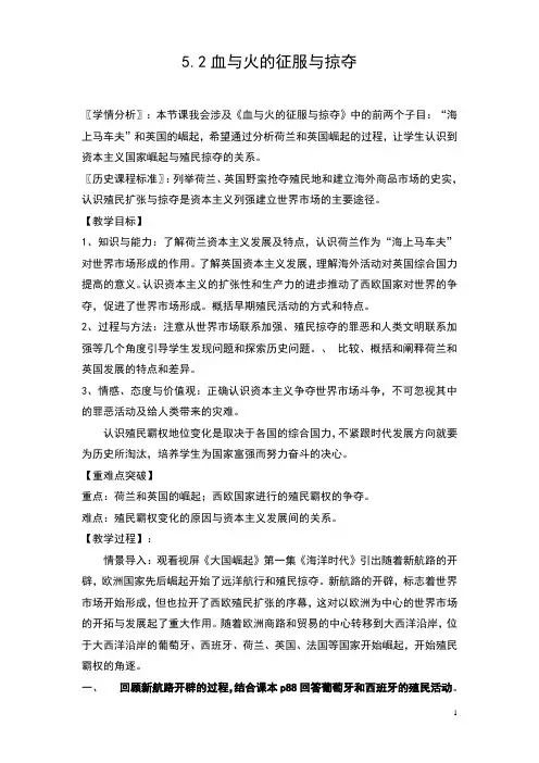 人民版高中历史必修二《题五 走向世界的资本主义市场  二 血与火的征服与掠夺》精品教学案例_23