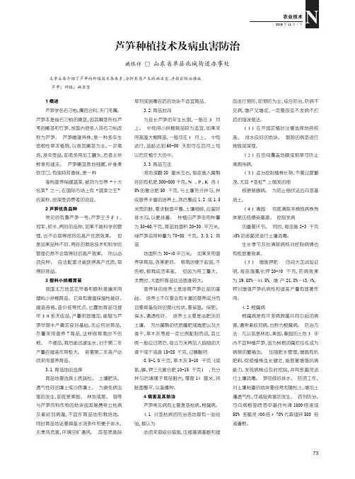 芦笋种植技术及病虫害防治