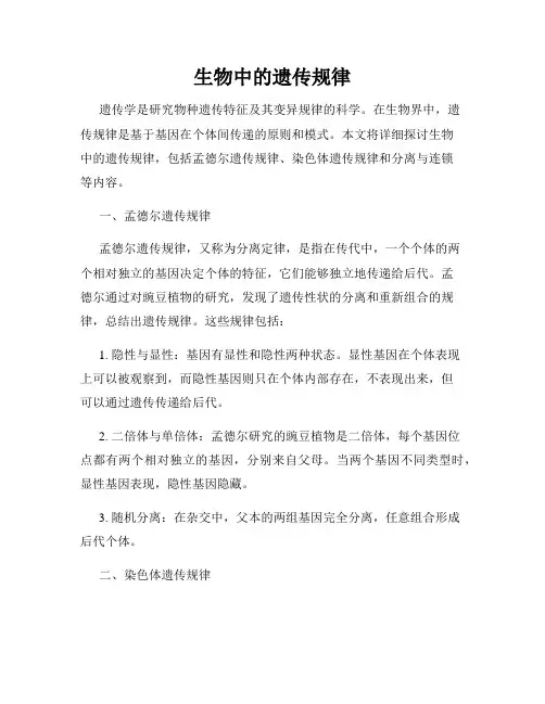 生物中的遗传规律