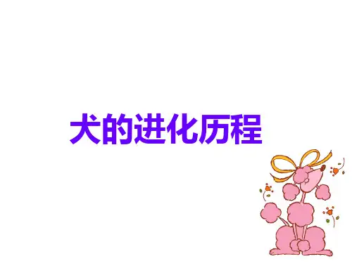 第一章 犬猫起源进化与特征