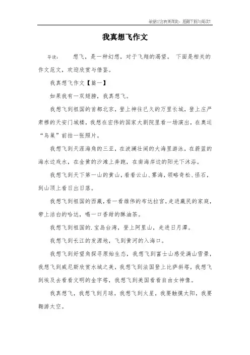 我真想飞作文