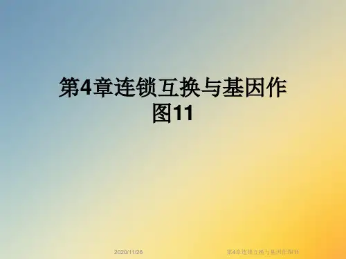 第4章连锁互换与基因作图11