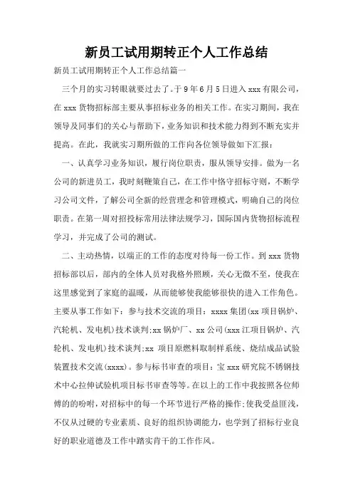 新员工试用期转正个人工作总结