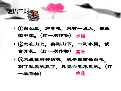 经济重心南移与财务知识分析(PPT 28页)