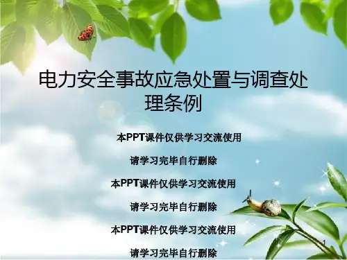 电力安全事故应急处置与调查处理条例