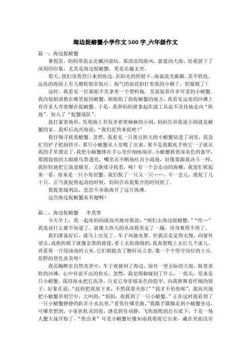 海边捉螃蟹小学作文500字_六年级作文