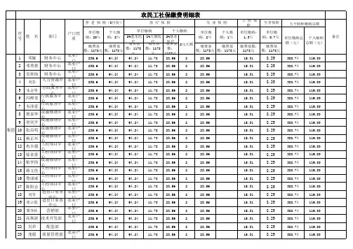 社保缴费明细