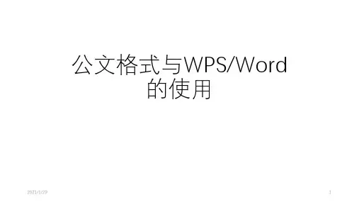 公文格式与WPS的使用