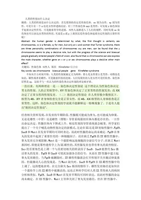 人类的性别由什么决定
