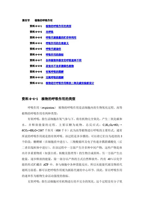 植物的呼吸作用