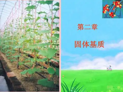 第二章 固体基质