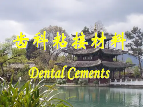 齿科粘接材料