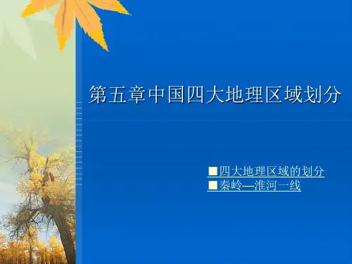 中国四大地理区域划分