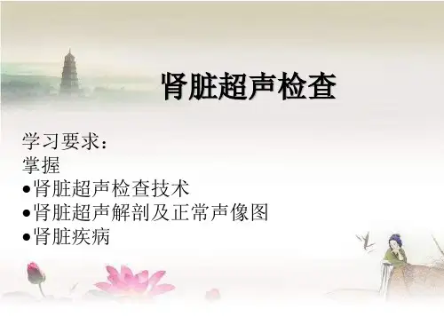 肾脏超声检查ppt