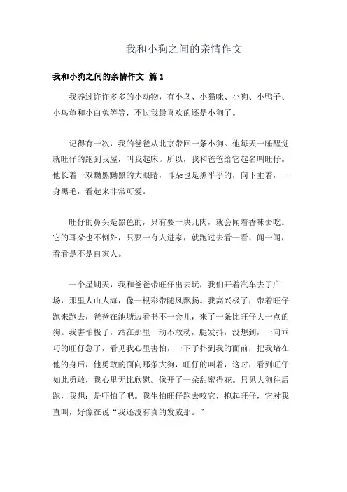 我和小狗之间的亲情作文