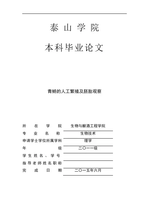 青鳉的人工繁殖及胚胎观察