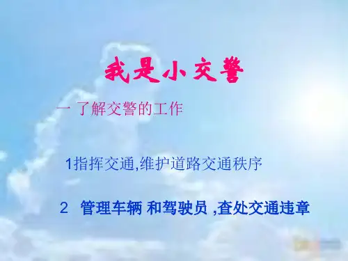 我当小交警资料