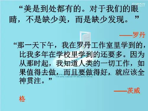 全神贯注(PPT)
