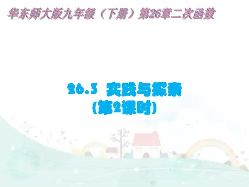 实践与探索(第2课时)PPT课件