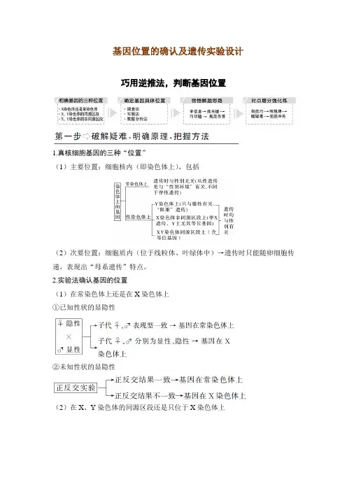 经典高中生物-基因位置的确认及遗传实验设计