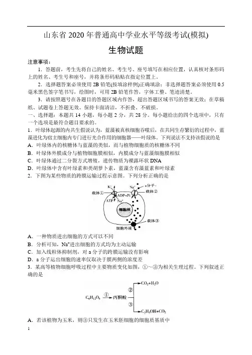 山东省2020年普通高中学业水平等级考试(模拟)生物试题
