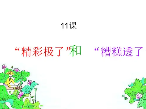 精彩极了和糟糕透了_PPT
