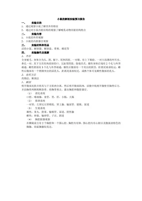 小鼠的解剖实验预习报告