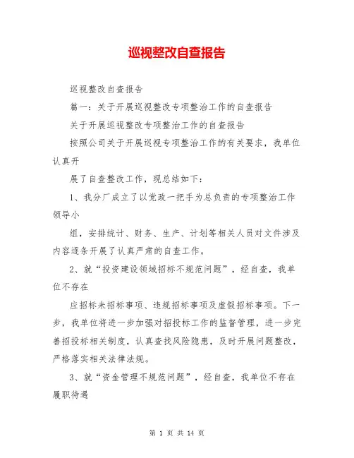 巡视整改自查报告