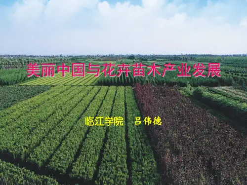 1浙江省花卉苗木产业发展概况